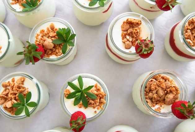 프로바이오틱스 유산균