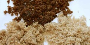 설탕 스테비아 차이