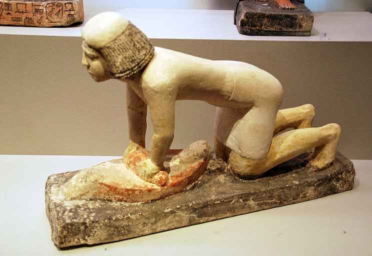 고대 곡물 종류