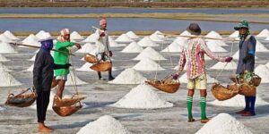 소금 종류 차이