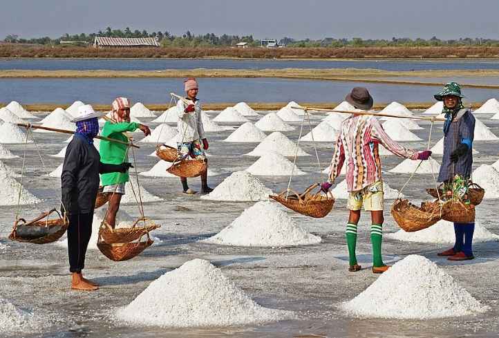 소금 종류 차이