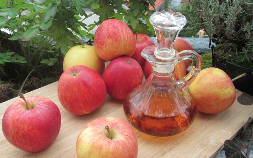 양조식초 사과식초 현미식초 비교