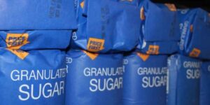 스테비아 알룰로스 차이